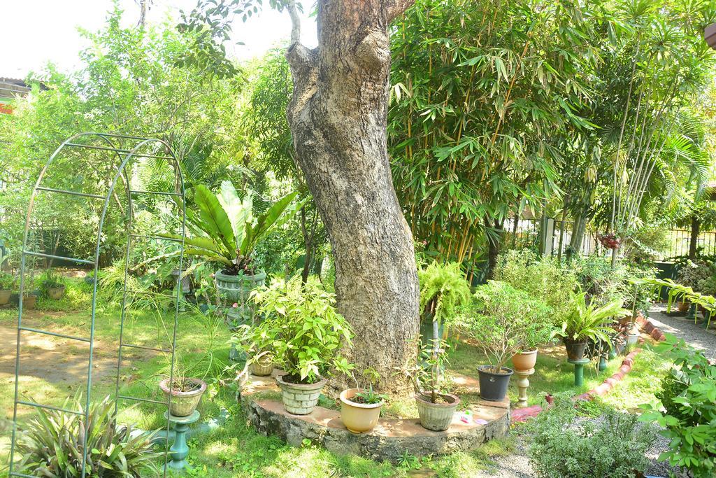 Livinginn Polonnaruwa Exterior foto